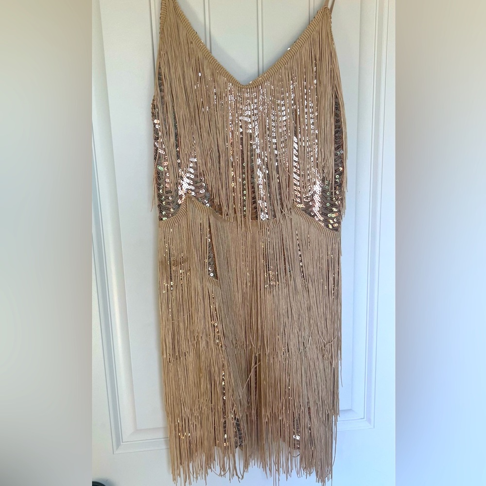COPY - Lulu’s Get in the Groove Champagne Sequin Fringe Bodycon Dress